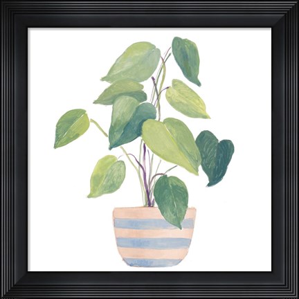 Framed Mother-In-Law Plant In Striped Pot Print