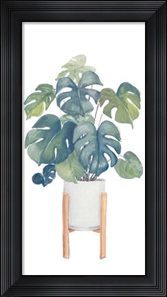 Framed Monstera Deliciosa Print