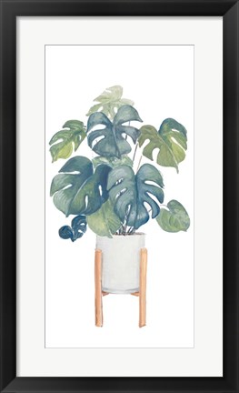 Framed Monstera Deliciosa Print