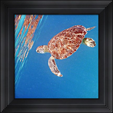 Framed Underwater Depths II Print