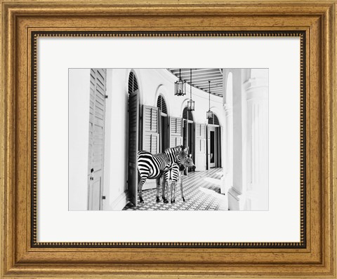 Framed Zebra Hotel Print