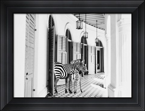 Framed Zebra Hotel Print