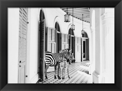 Framed Zebra Hotel Print