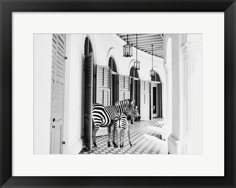 Framed Zebra Hotel Print