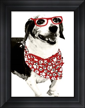 Framed Cool Fella Print