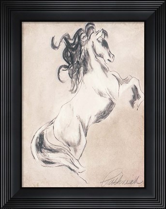 Framed Majestic Horse Print