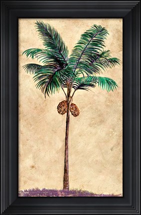 Framed Coconut Tribal Palm II Print