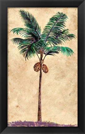 Framed Coconut Tribal Palm II Print