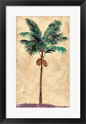 Framed Coconut Tribal Palm II Print