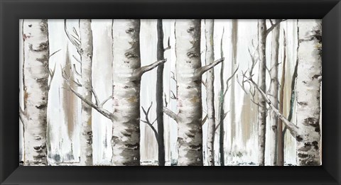 Framed White Birch Forest Print