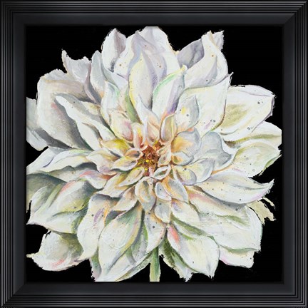 Framed Dahlia On Black Print