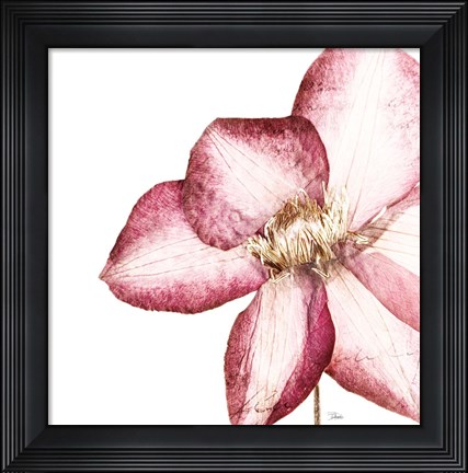 Framed Rouge Plum Flowers I Print