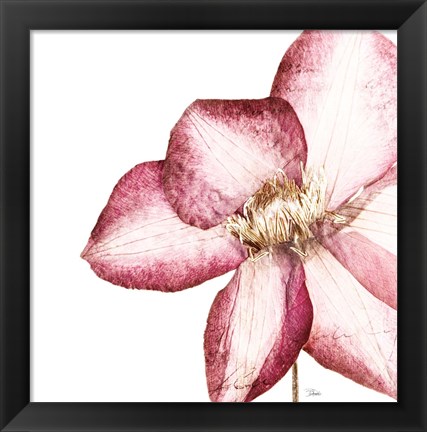 Framed Rouge Plum Flowers I Print