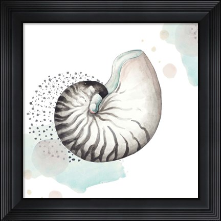 Framed Turquoise Ocean Nautilus Print