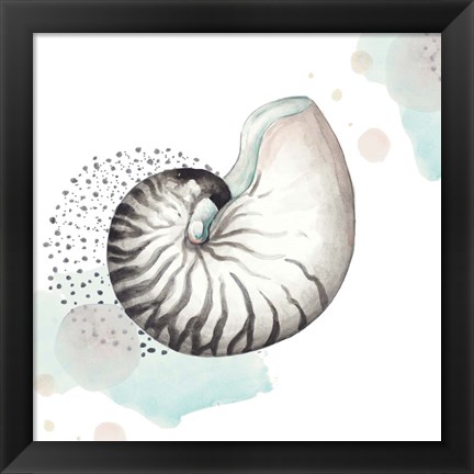 Framed Turquoise Ocean Nautilus Print