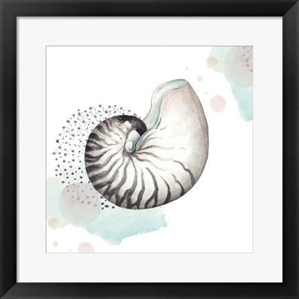 Framed Turquoise Ocean Nautilus Print