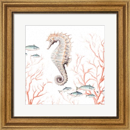 Framed Seahorse On Coral Print