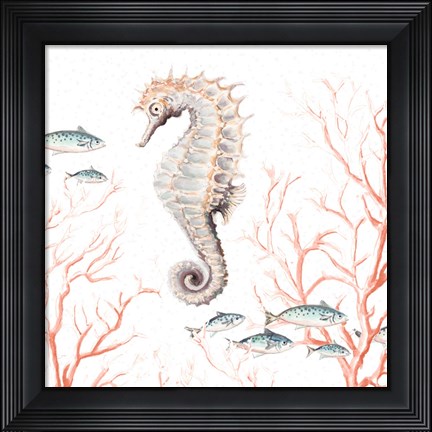 Framed Seahorse On Coral Print