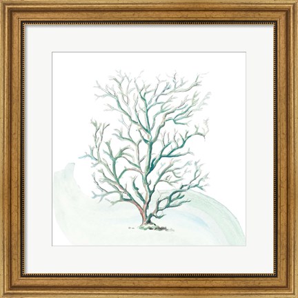 Framed Turquoise Ocean Sea Coral Print
