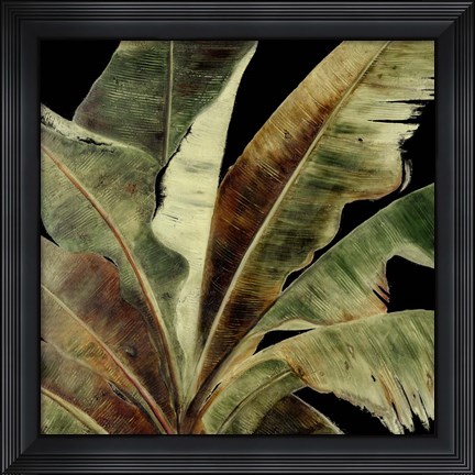 Framed Uraba Palm on Black I Print