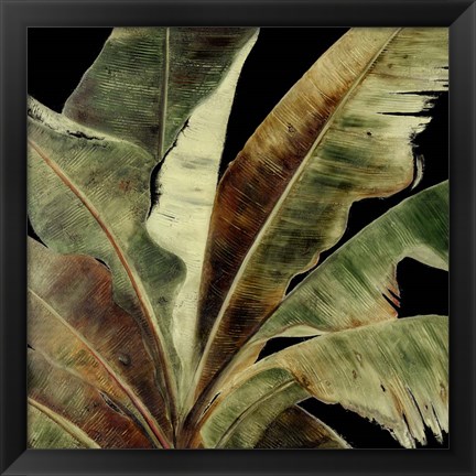 Framed Uraba Palm on Black I Print