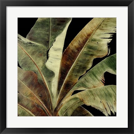 Framed Uraba Palm on Black I Print