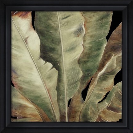Framed Uraba Palm on Black II Print
