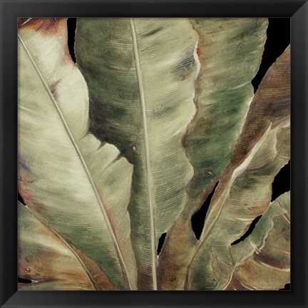 Framed Uraba Palm on Black II Print