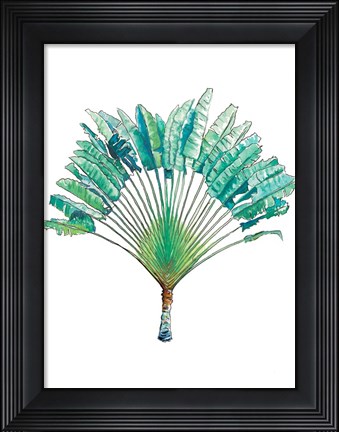 Framed Travelers Palm Print