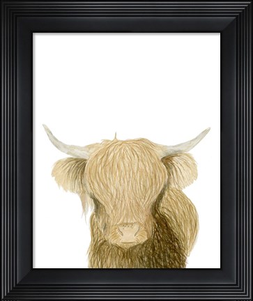 Framed Highland Cattle Print