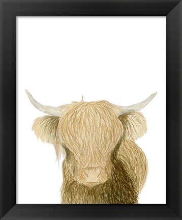 Framed Highland Cattle Print