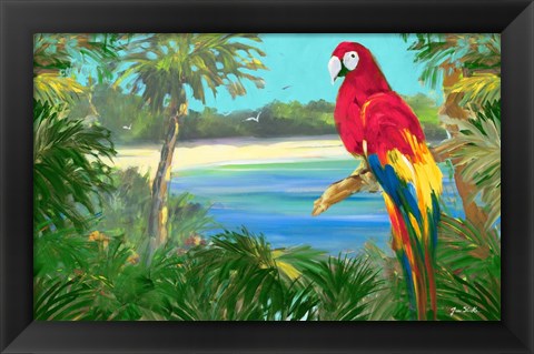 Framed Parrot By The Ocean Print