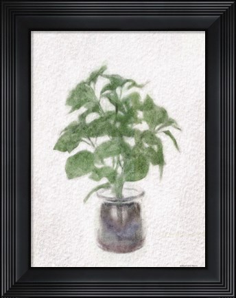 Framed Basil Jar Print