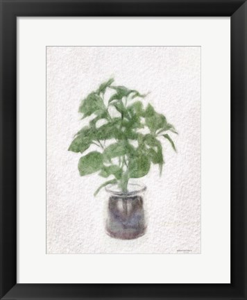 Framed Basil Jar Print