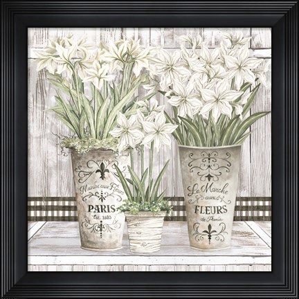 Framed Amaryllis Multi Pots Print