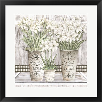 Framed Amaryllis Multi Pots Print