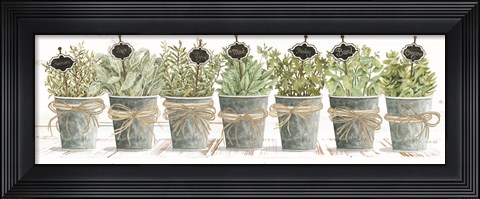 Framed Herbs in a Row Print