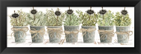 Framed Herbs in a Row Print