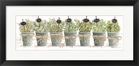 Framed Herbs in a Row Print