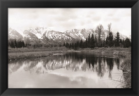 Framed Tetons at Schwabachers Landing Print