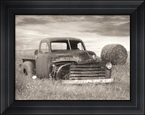 Framed Rustic Charm I Print