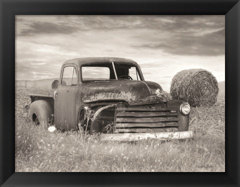 Framed Rustic Charm I Print