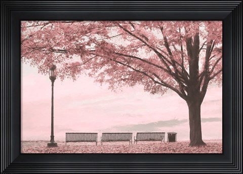 Framed Moody Pink Day in the Park Print