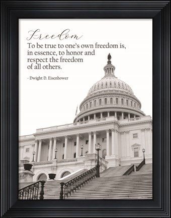 Framed Freedom Print