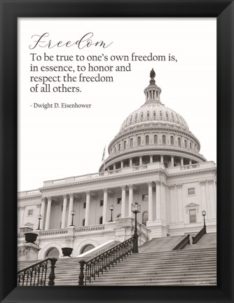 Framed Freedom Print