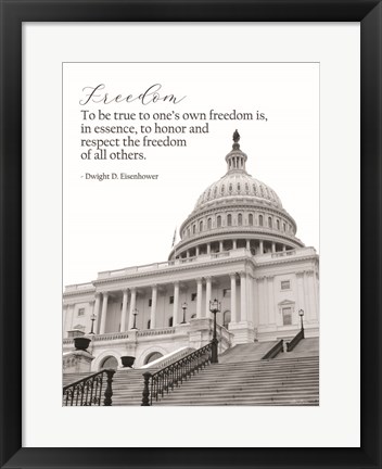 Framed Freedom Print