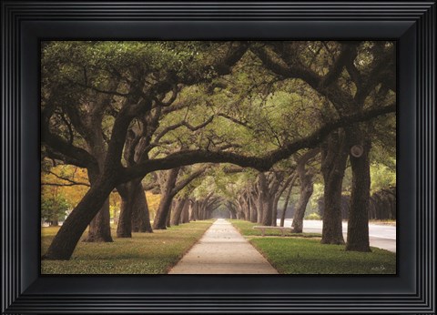 Framed Alley of Live Oaks Print