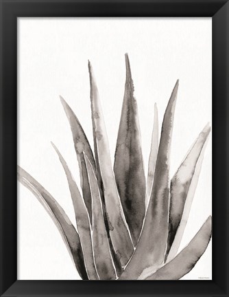Framed Organic Botanical II Print