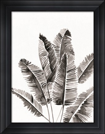 Framed Organic Botanical III Print