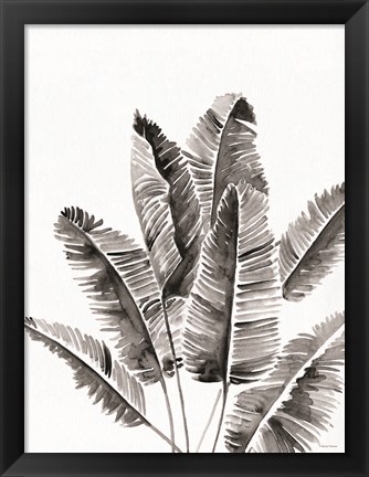 Framed Organic Botanical III Print